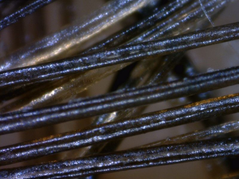 MEDL7HM Dino-Lite TrichoScope Polarizer HR