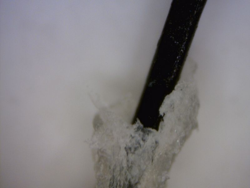 MEDL7HM Dino-Lite TrichoScope Polarizer HR