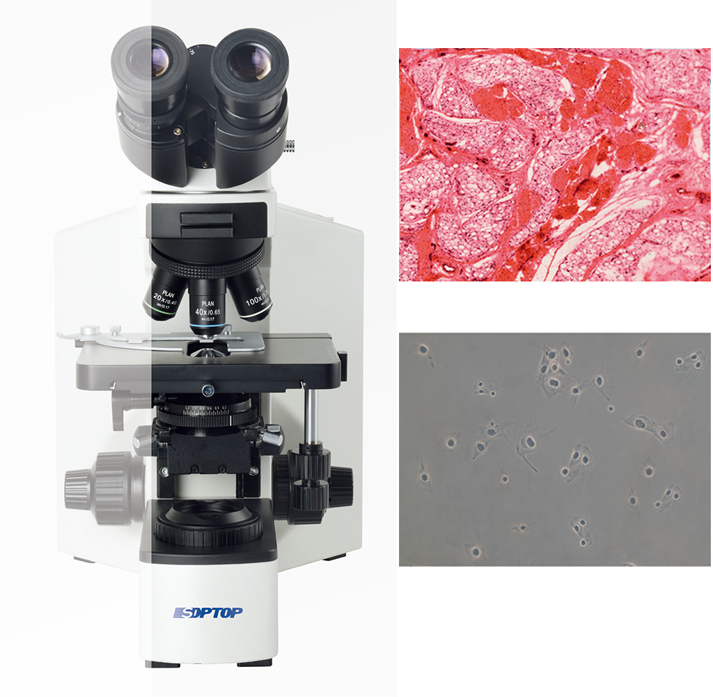 CX40-T Trinoküler Eğitim ve Araştırma Premium Mikroskop Faz Kontrast Ataçmanlı