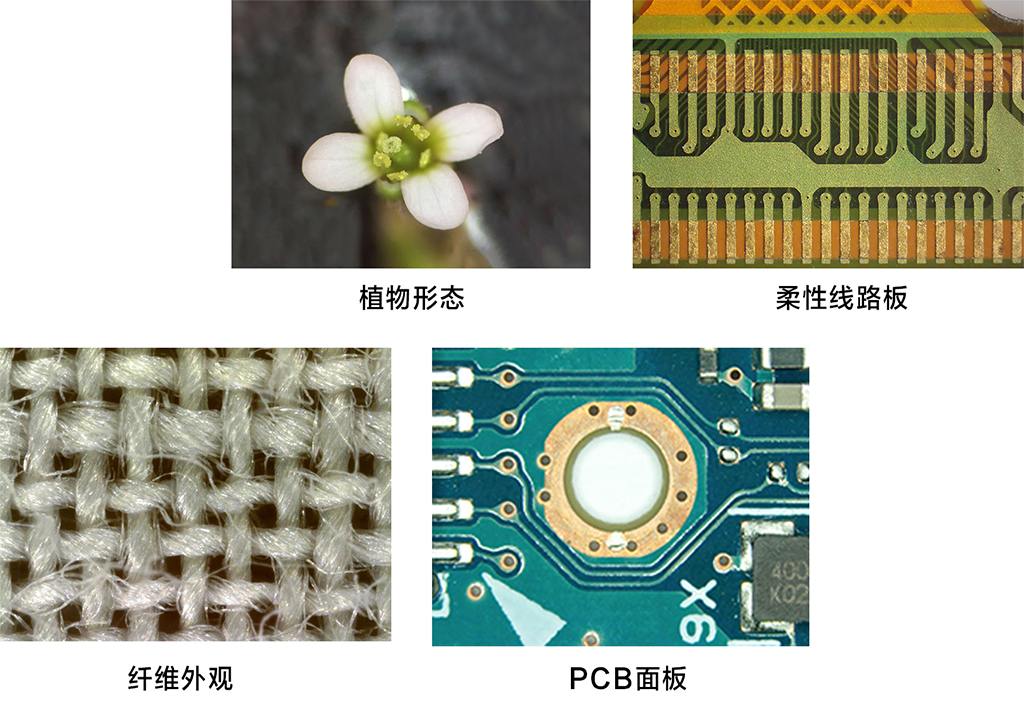 DMSZ7PZB Binoküler Dahili Kameralı Sterezoom Premium Mikroskop 50X -  4Mp PAD  Cmos Kamera