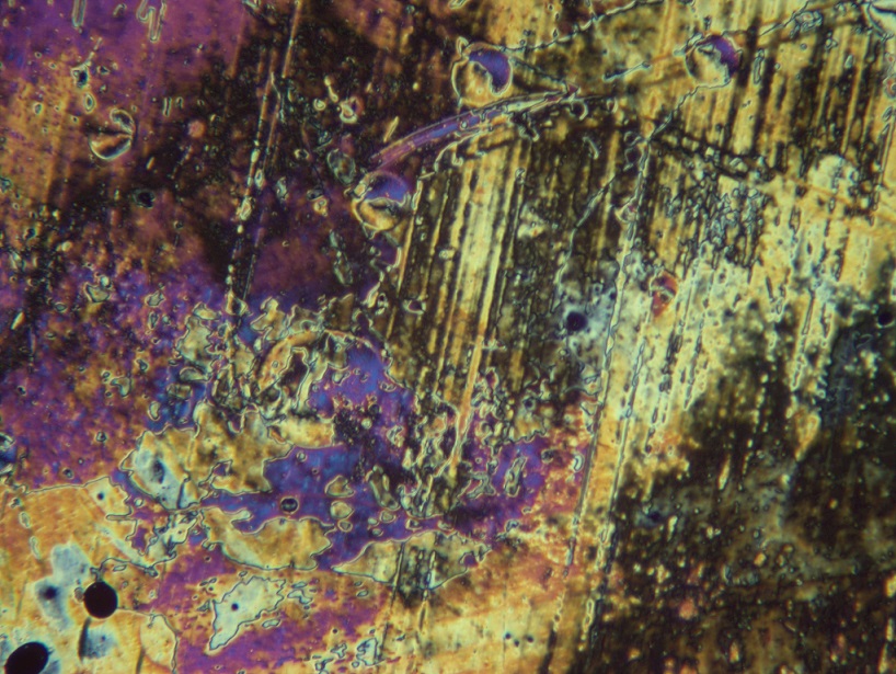 MSX2 12MP Microscope sCmos Image Eyepieces