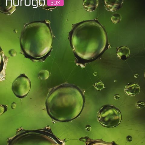 Nurugo Micro Akıllı Telefonlar İçin Digital Mikroskop Lensi