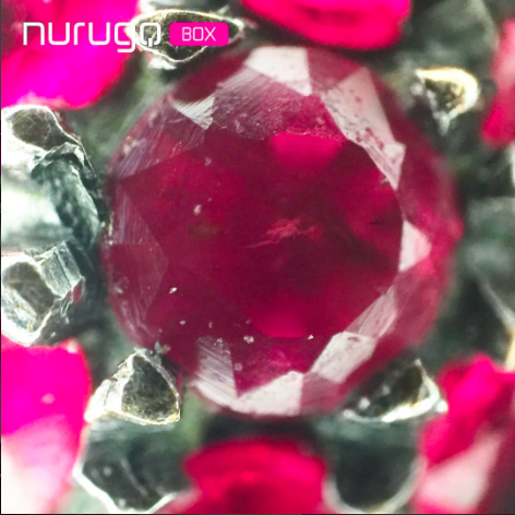 Nurugo Micro Akıllı Telefonlar İçin Digital Mikroskop Lensi