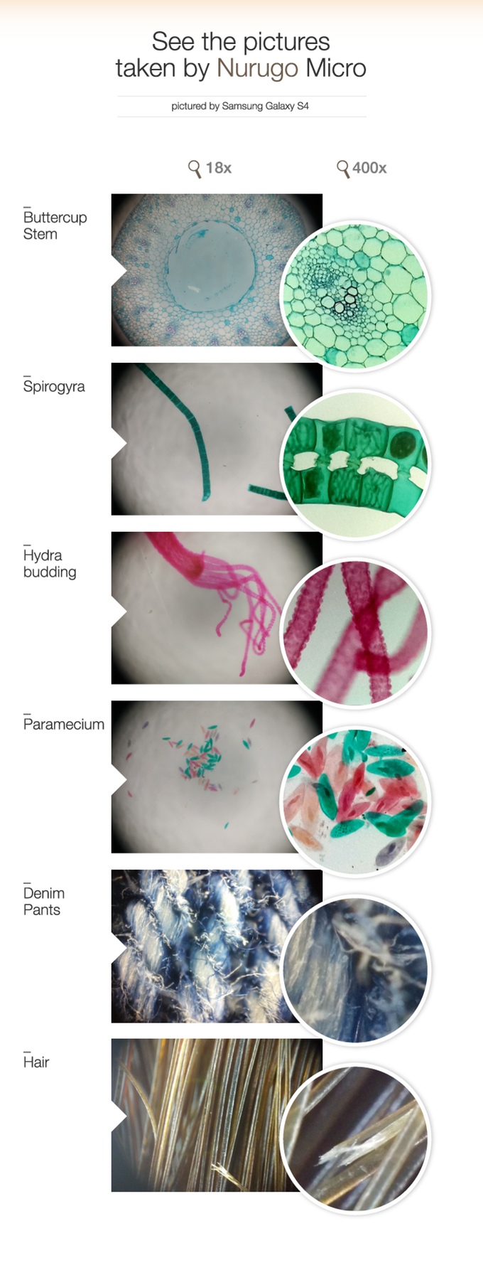 Nurugo Micro Akıllı Telefonlar İçin Digital Mikroskop Lensi