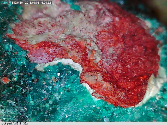 Dino-Lite AM3111 Digital Basic USB Mikroskop