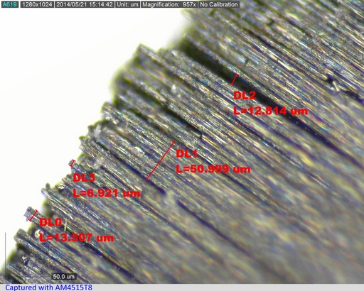 Dino-Lite AM4515T8 Edge Digital USB Mikroskop, 800x , Magnification Reading