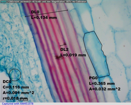 Dino-Lite AM4515T8 Edge Digital USB Mikroskop, 800x , Magnification Reading