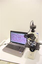 SOIF BK5000-TR/L Trinoküler Laboratuar Araştırma Mikroskobu - IOS Plan Achromat 