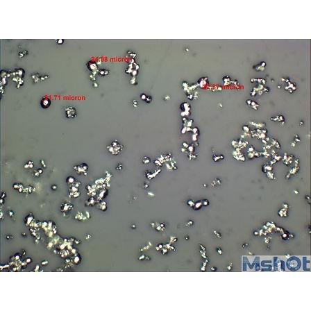 MD 50 5.0 MP CMOS Mikroskop Görüntüsü Transfer Kamerası ve Yazılımı