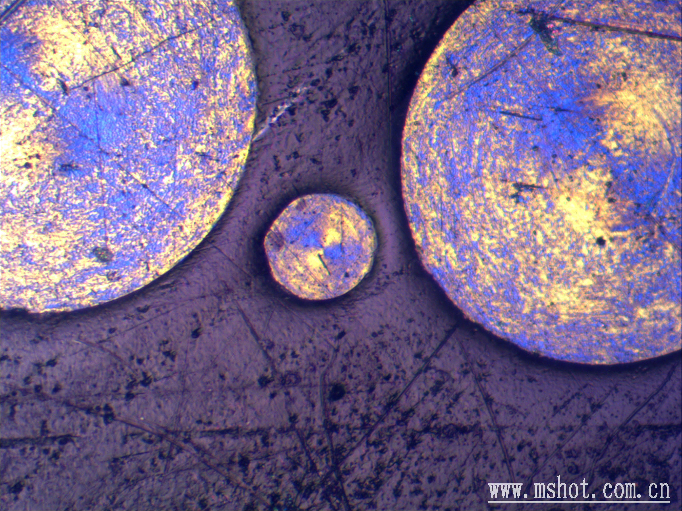 MD 50 5.0 MP CMOS Mikroskop Görüntüsü Transfer Kamerası ve Yazılımı
