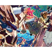 SOIF BK-POL Trinoküler Alttan ve Üstten Aydınlatmalı Polarize Ataçmanlı Mikroskop