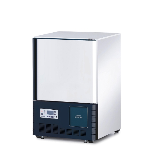 C20V10C1A Profesyonel Dondurucu -20 °C 100 Litre